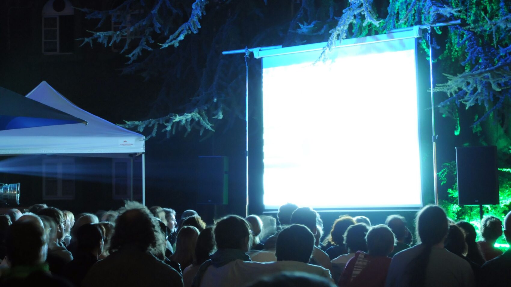 Sommernachtkino: Kinobesucher*innen vor weißer Leinwand